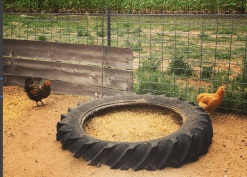 Screen Shot 2017-11-25 at 7.39.10 PM.png