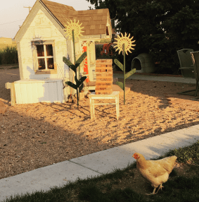 Screen Shot 2017-11-25 at 7.44.46 PM.png